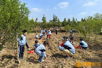 南昌乡村丰收季农场游成新热点