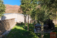 时隔100余天,大熊猫“福宝”恢复对外展出