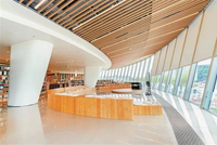 深圳三大文旅地标节前集中亮相!